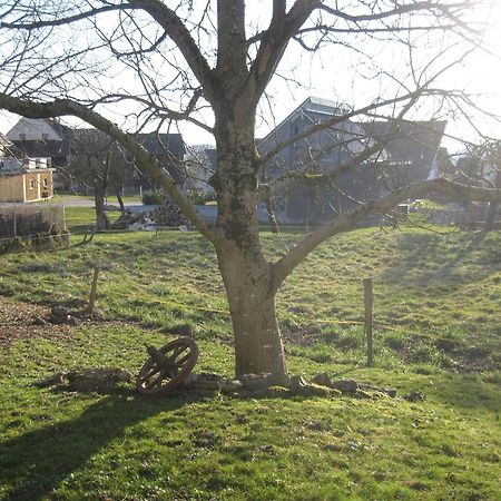Unterm Nussbaeumle Appartement Adelhausen Buitenkant foto