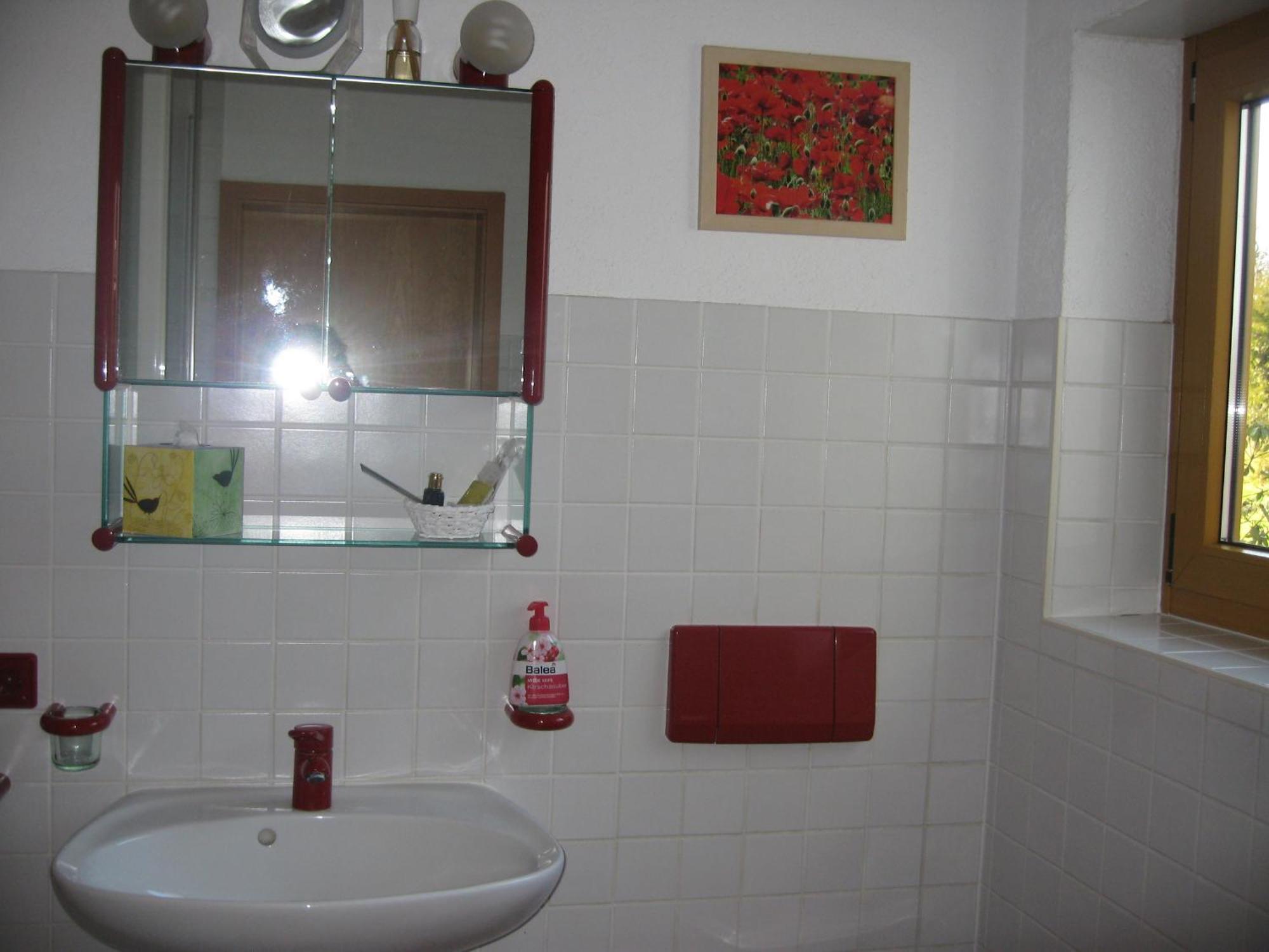 Unterm Nussbaeumle Appartement Adelhausen Buitenkant foto