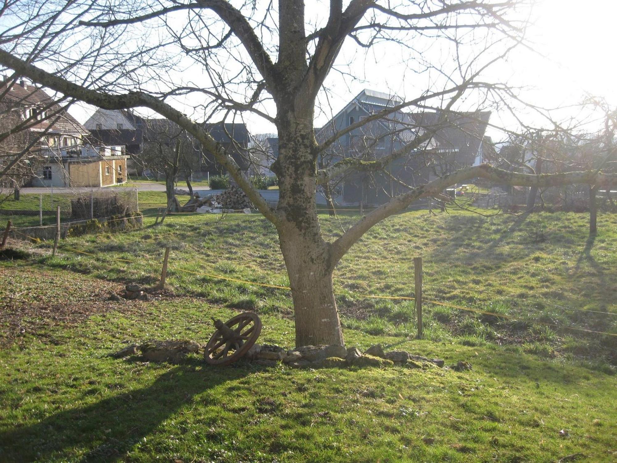 Unterm Nussbaeumle Appartement Adelhausen Buitenkant foto